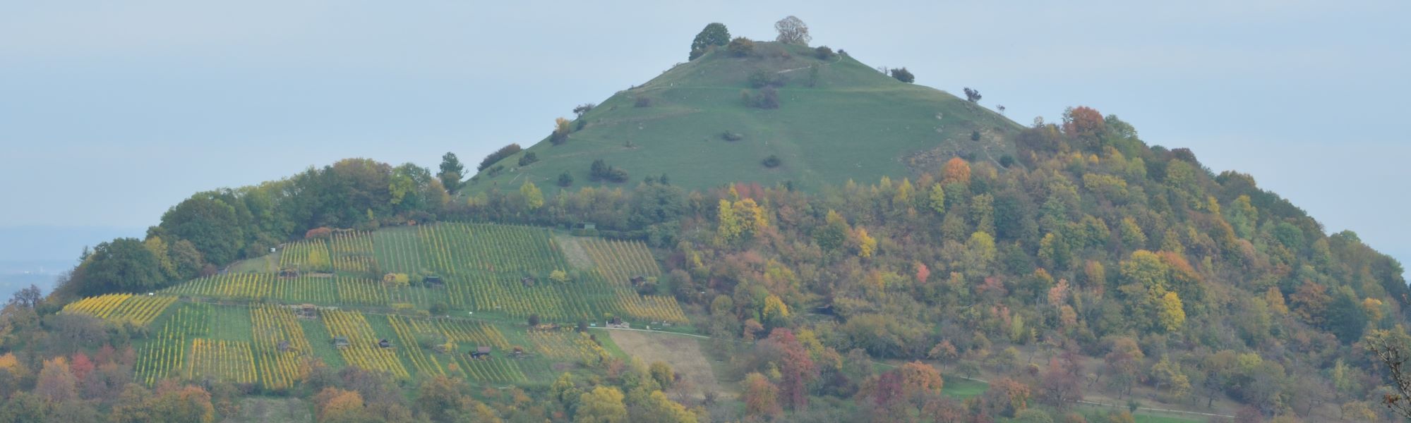 Header/Herbst/Herbst_Limburg_Weinberg1_2000x600.jpg