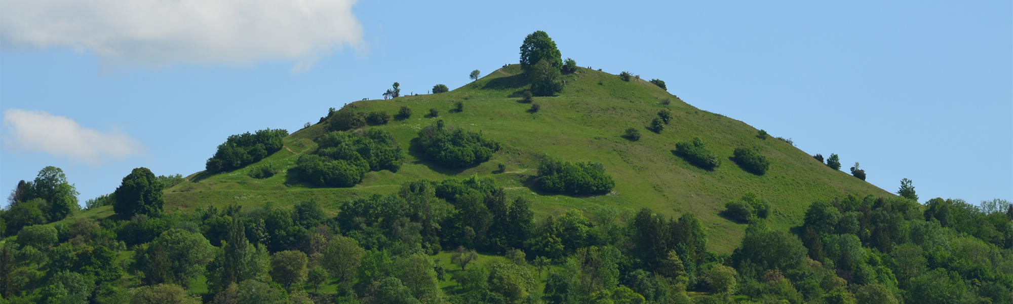 Header/Sommer/Limburg.jpg