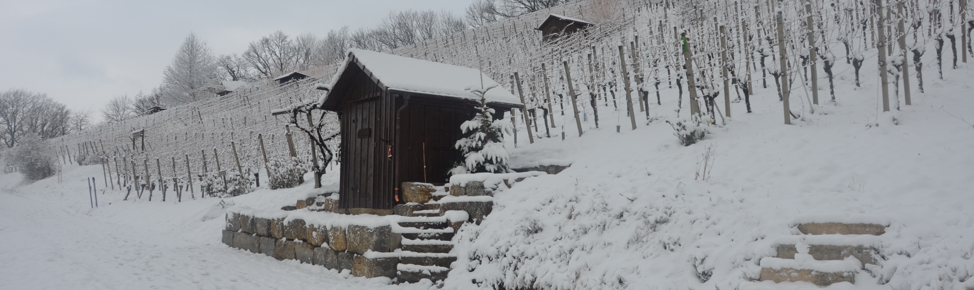 Header/Winter/Huette_2000x600.jpg
