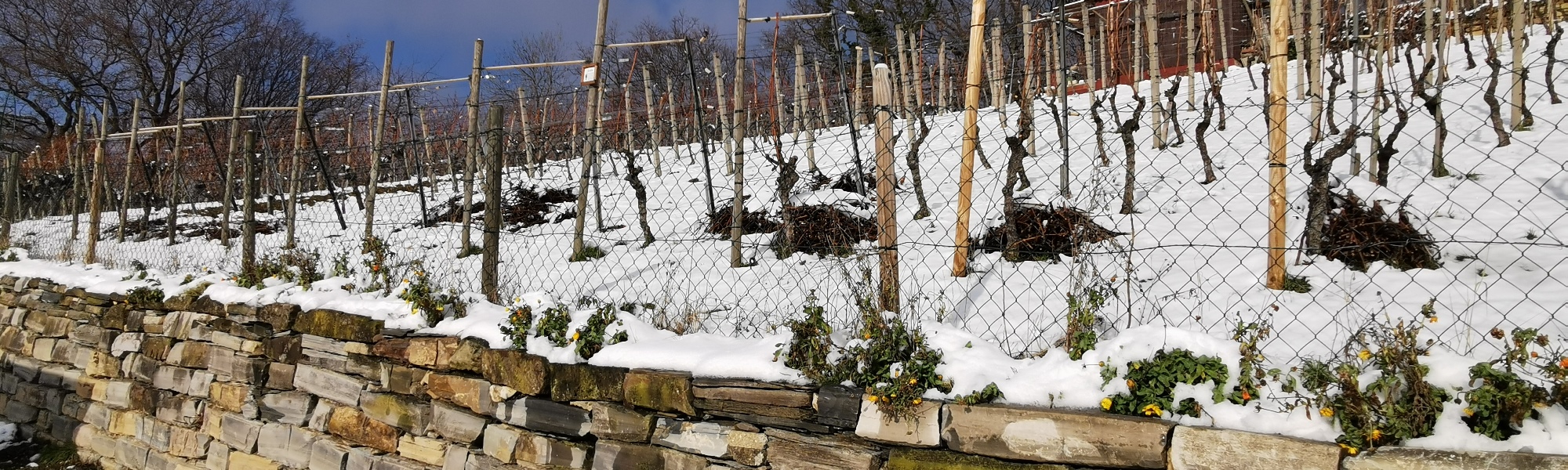 Header/Winter/Trockenmauer_2000x600.jpg